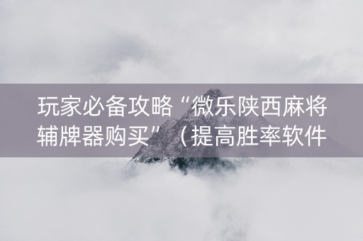 玩家必备攻略“微乐陕西麻将辅牌器购买”（提高胜率软件)