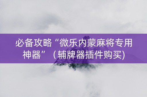 必备攻略“微乐内蒙麻将专用神器”（辅牌器插件购买)