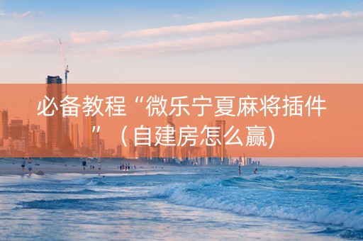 必备教程“微乐宁夏麻将插件”（自建房怎么赢)