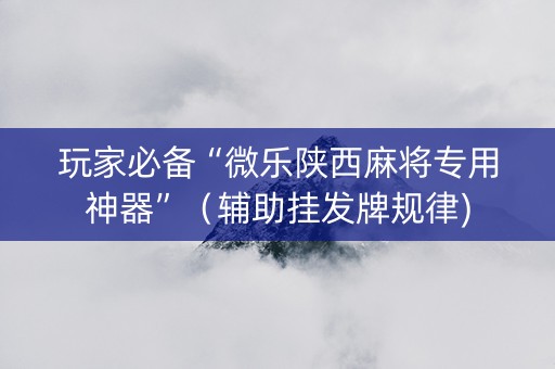 玩家必备“微乐陕西麻将专用神器”（辅助挂发牌规律)
