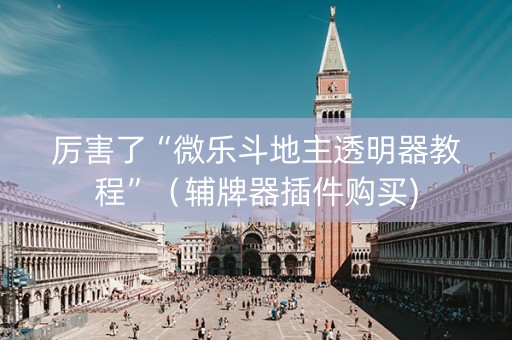 厉害了“微乐斗地主透明器教程”（辅牌器插件购买)