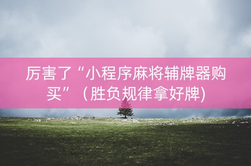 厉害了“小程序麻将辅牌器购买”（胜负规律拿好牌)