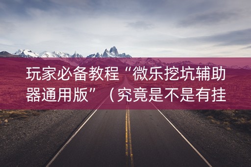 玩家必备教程“微乐挖坑辅助器通用版”（究竟是不是有挂)