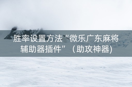 胜率设置方法“微乐广东麻将辅助器插件”（助攻神器)