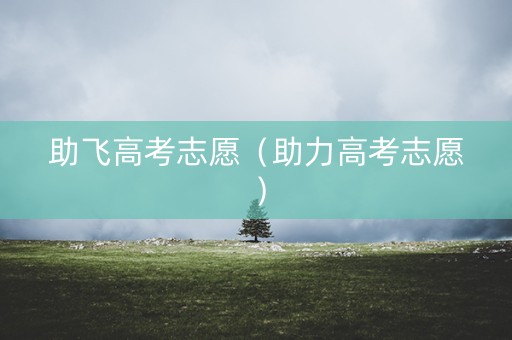 助飞高考志愿（助力高考志愿）