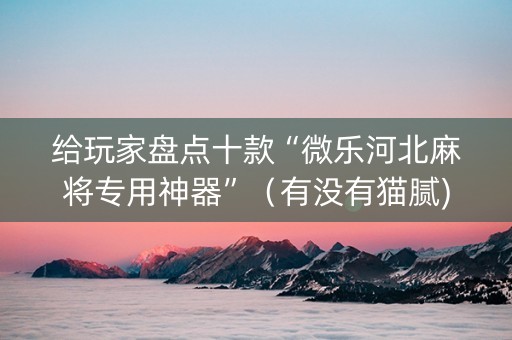 给玩家盘点十款“微乐河北麻将专用神器”（有没有猫腻)