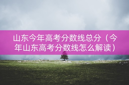 山东今年高考分数线总分（今年山东高考分数线怎么解读）