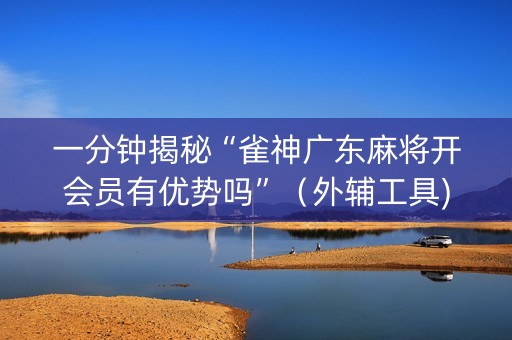 一分钟揭秘“雀神广东麻将开会员有优势吗”（外辅工具)