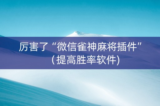 厉害了“微信雀神麻将插件”（提高胜率软件)