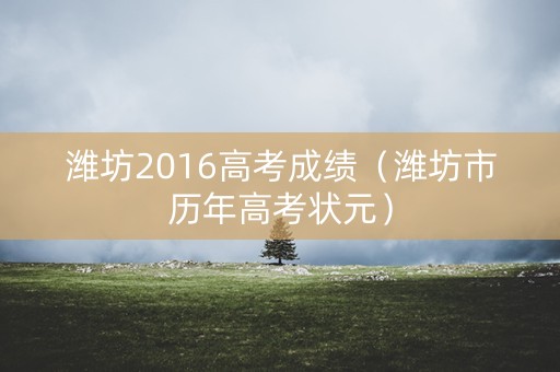 潍坊2016高考成绩（潍坊市历年高考状元）