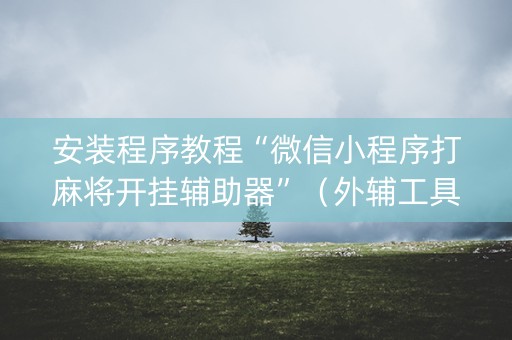 安装程序教程“微信小程序打麻将开挂辅助器”（外辅工具)
