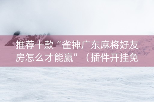 推荐十款“雀神广东麻将好友房怎么才能赢”（插件开挂免费AI)