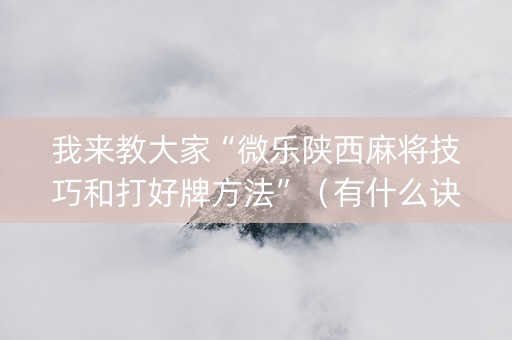 我来教大家“微乐陕西麻将技巧和打好牌方法”（有什么诀窍)