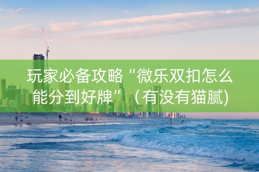 玩家必备攻略“微乐双扣怎么能分到好牌”（有没有猫腻)