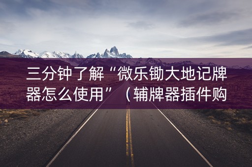 三分钟了解“微乐锄大地记牌器怎么使用”（辅牌器插件购买)