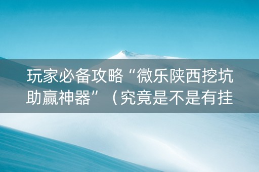 玩家必备攻略“微乐陕西挖坑助赢神器”（究竟是不是有挂)
