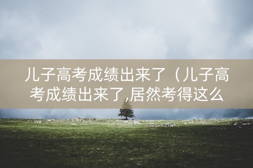 儿子高考成绩出来了（儿子高考成绩出来了,居然考得这么好）