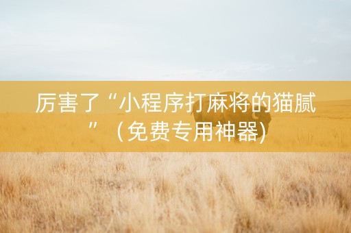 厉害了“小程序打麻将的猫腻”（免费专用神器)