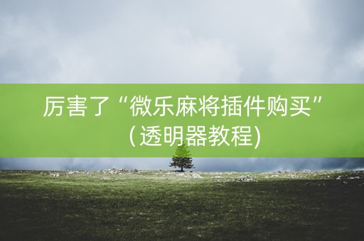 厉害了“微乐麻将插件购买”（透明器教程)