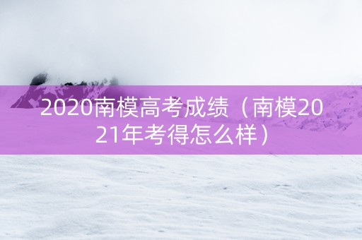 2020南模高考成绩（南模2021年考得怎么样）