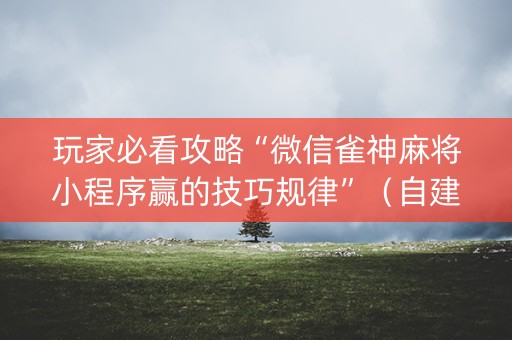 玩家必看攻略“微信雀神麻将小程序赢的技巧规律”（自建房怎么拿好牌)