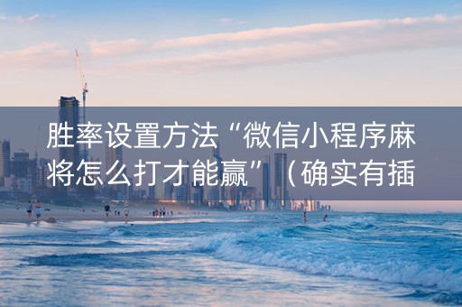 胜率设置方法“微信小程序麻将怎么打才能赢”（确实有插件吗)