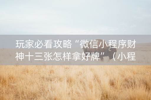玩家必看攻略“微信小程序财神十三张怎样拿好牌”（小程序必赢神器)