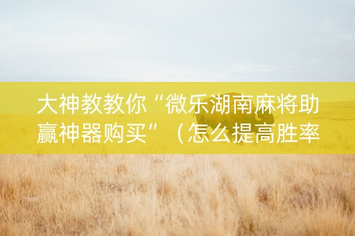 大神教教你“微乐湖南麻将助赢神器购买”（怎么提高胜率)