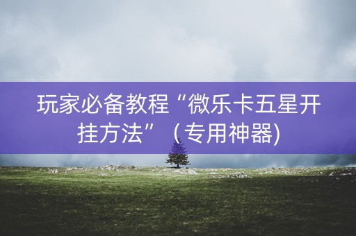 玩家必备教程“微乐卡五星开挂方法”（专用神器)