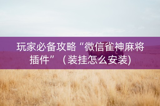 玩家必备攻略“微信雀神麻将插件”（装挂怎么安装)