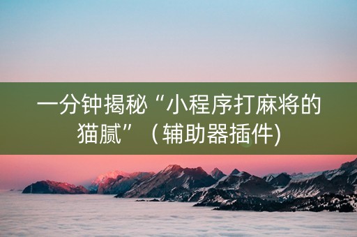 一分钟揭秘“小程序打麻将的猫腻”（辅助器插件)