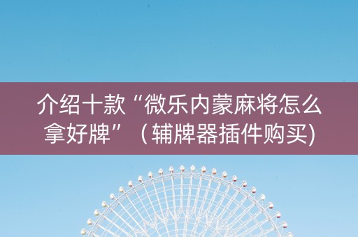 介绍十款“微乐内蒙麻将怎么拿好牌”（辅牌器插件购买)