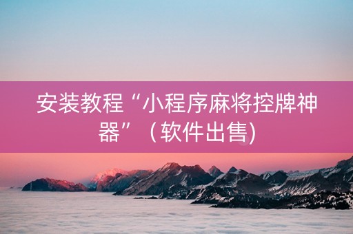 安装教程“小程序麻将控牌神器”（软件出售)