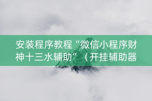 安装程序教程“微信小程序财神十三水辅助”（开挂辅助器脚本)