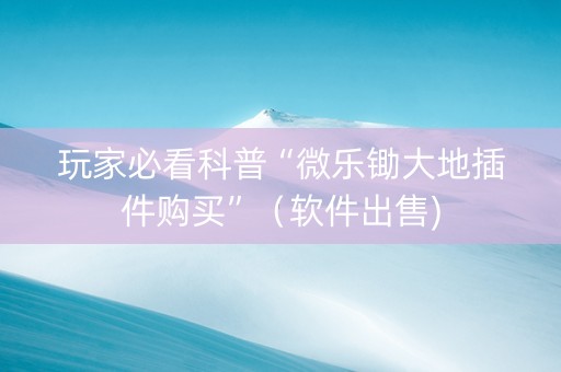 玩家必看科普“微乐锄大地插件购买”（软件出售)