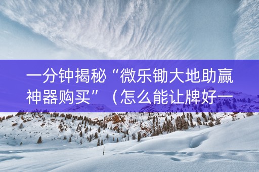 一分钟揭秘“微乐锄大地助赢神器购买”（怎么能让牌好一点)