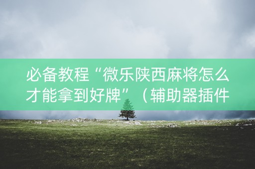 必备教程“微乐陕西麻将怎么才能拿到好牌”（辅助器插件)