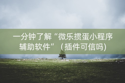 一分钟了解“微乐掼蛋小程序辅助软件”（插件可信吗)