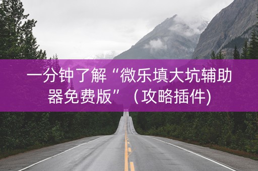 一分钟了解“微乐填大坑辅助器免费版”（攻略插件)