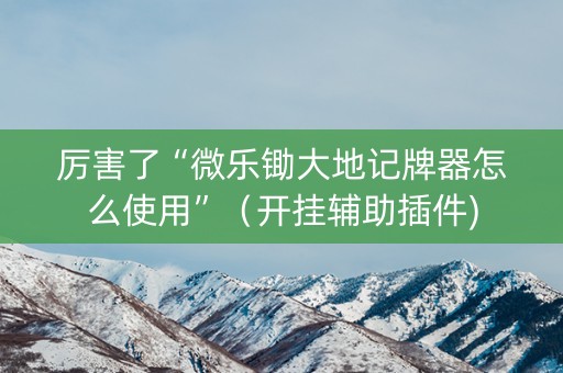 厉害了“微乐锄大地记牌器怎么使用”（开挂辅助插件)