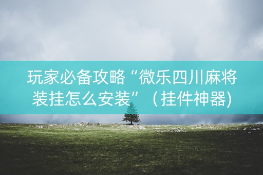 玩家必备攻略“微乐四川麻将装挂怎么安装”（挂件神器)