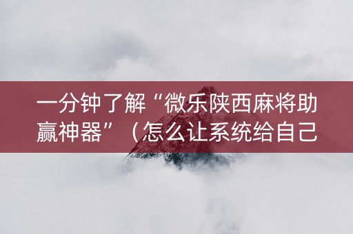 一分钟了解“微乐陕西麻将助赢神器”（怎么让系统给自己好牌)