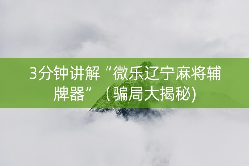 3分钟讲解“微乐辽宁麻将辅牌器”（骗局大揭秘)