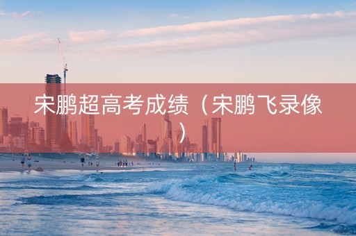 宋鹏超高考成绩（宋鹏飞录像）