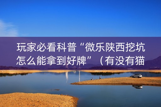 玩家必看科普“微乐陕西挖坑怎么能拿到好牌”（有没有猫腻)