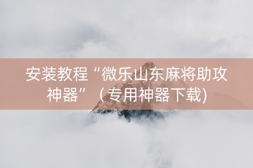 安装教程“微乐山东麻将助攻神器”（专用神器下载)