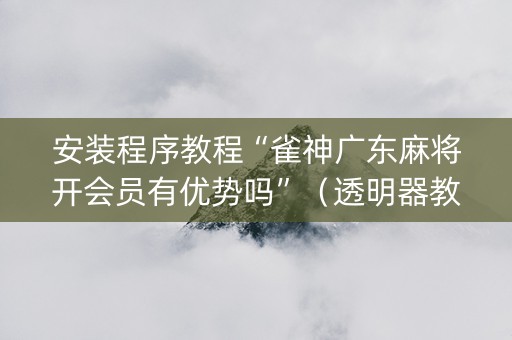 安装程序教程“雀神广东麻将开会员有优势吗”（透明器教程)