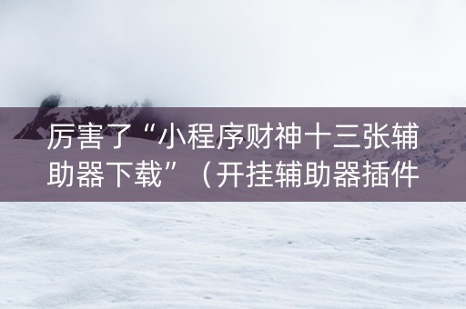 厉害了“小程序财神十三张辅助器下载”（开挂辅助器插件)