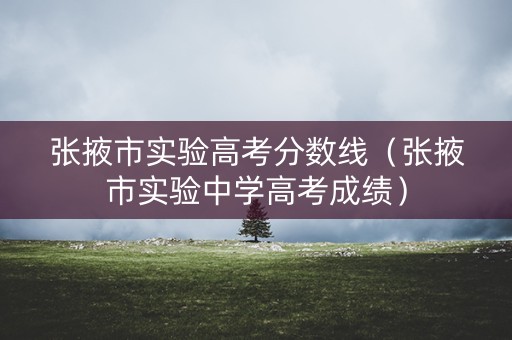 张掖市实验高考分数线（张掖市实验中学高考成绩）