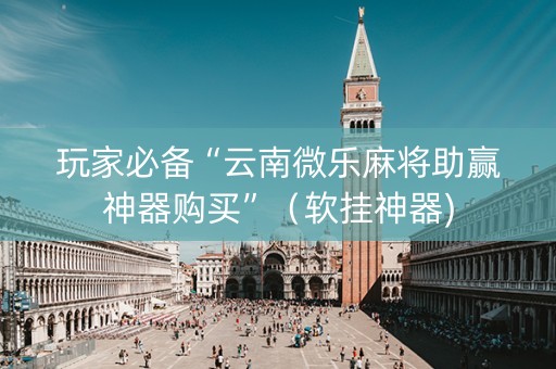 玩家必备“云南微乐麻将助赢神器购买”（软挂神器)